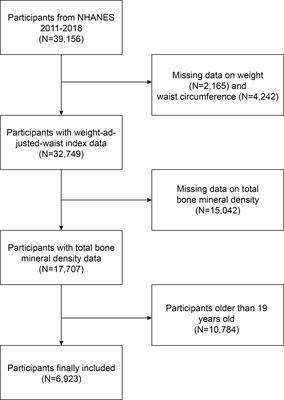 The association between weight-adjusted-waist index and total bone mineral density in adolescents: NHANES 2011–2018